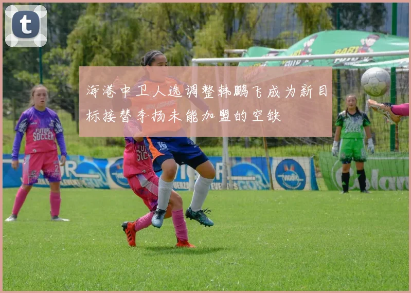 海港中卫人选调整韩鹏飞成为新目标接替李扬未能加盟的空缺